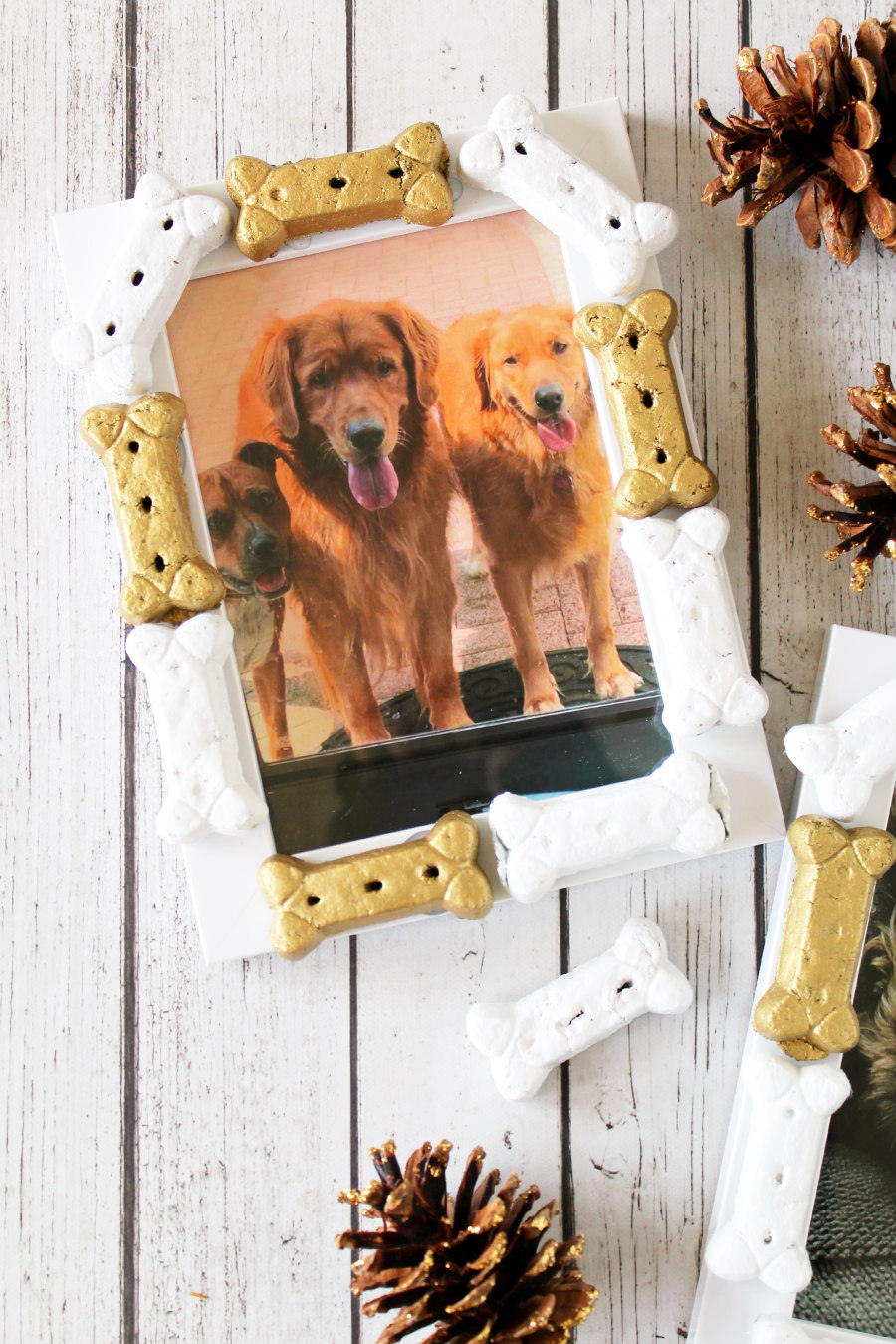 DIY Dog Bone Picture Frame