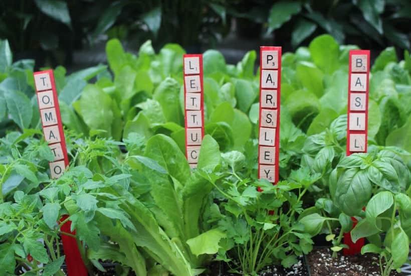 Letter Tile Garden Markers