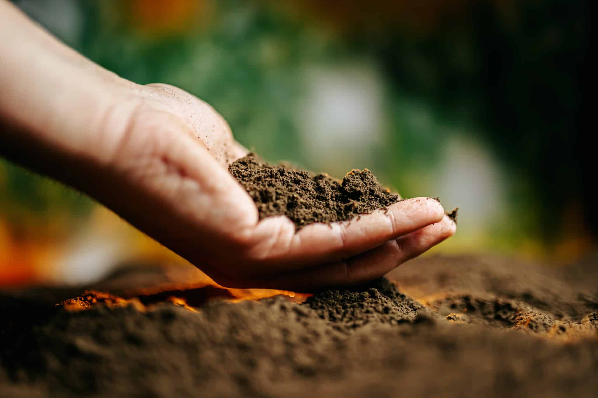 A close-up of human hands holding a handful of fertile soil, between the fingers. symbolizes nature's beauty and the significance of nurturing the planet for future generations.