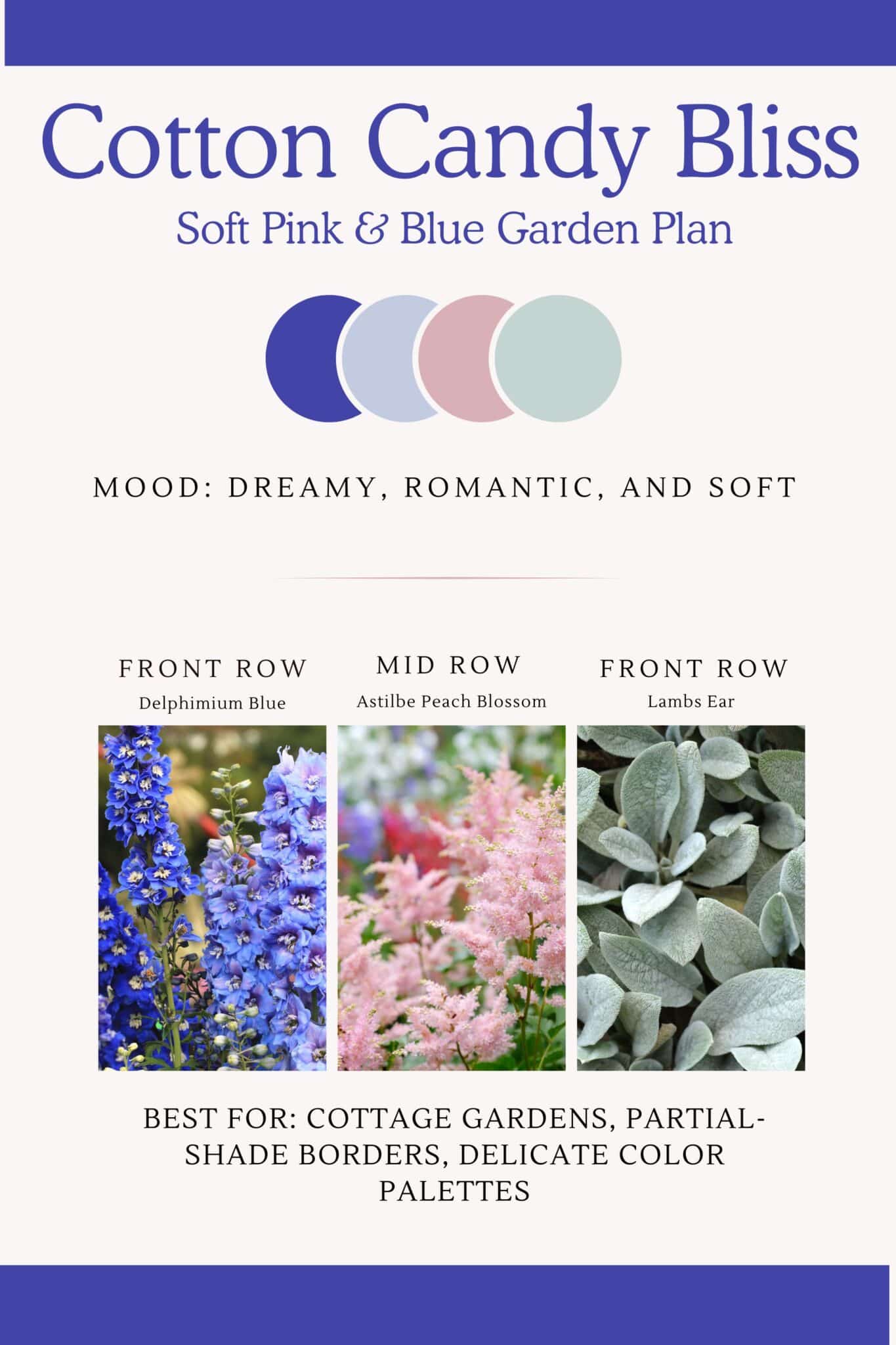 Infographic that illustrates pink, soft blues and green perennial flower bed design with a gentle and dreamy romantic atmosphere.