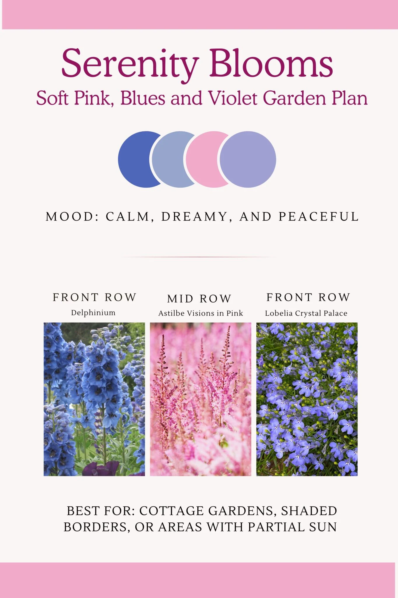 Infographic that shows soft pinks, blues and violet perennial flower bed design  with a calm and peaceful feel. 