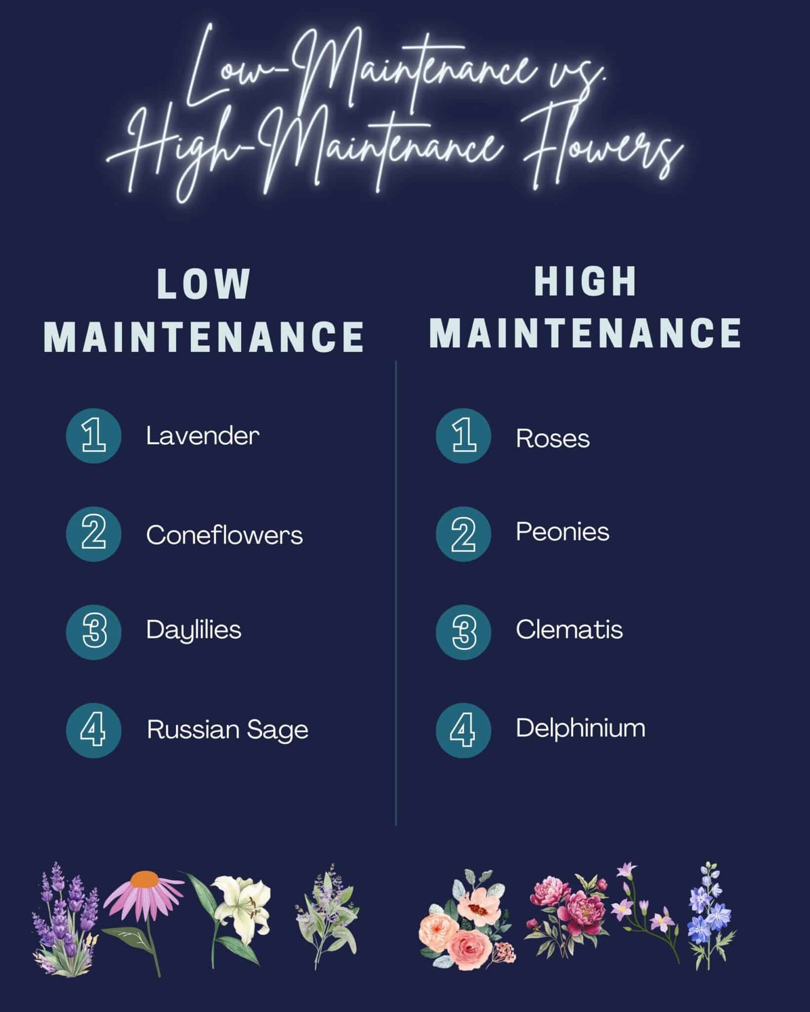 An infographic shows the best low maintenance vs high maintenance flower choices for navy blue homes.