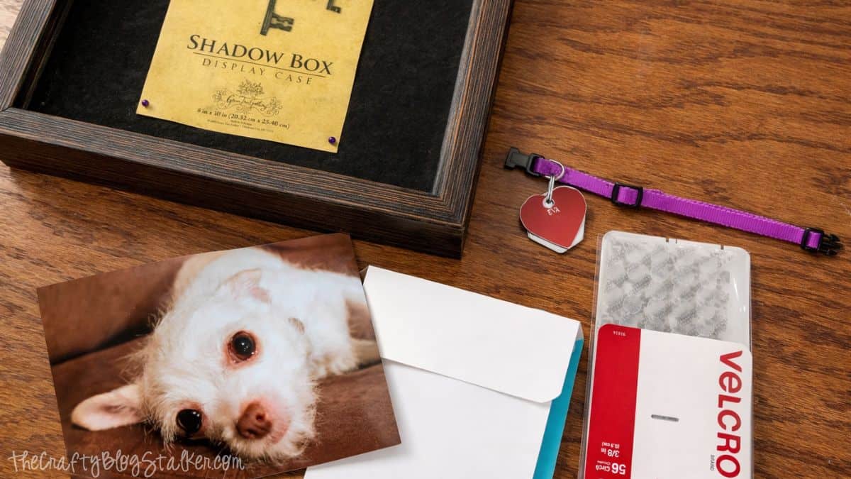 Materials for the pet remembrance shadow box displayed on a table, including a shadow box frame, printed dog photo, pet collar with tag, envelope, and Velcro strips.