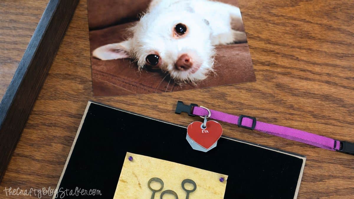 Detailed view of a pet remembrance shadow box being constructed with a printed dog photo, heart-shaped pet tag on a collar, and frame backing arranged on a wooden surface.