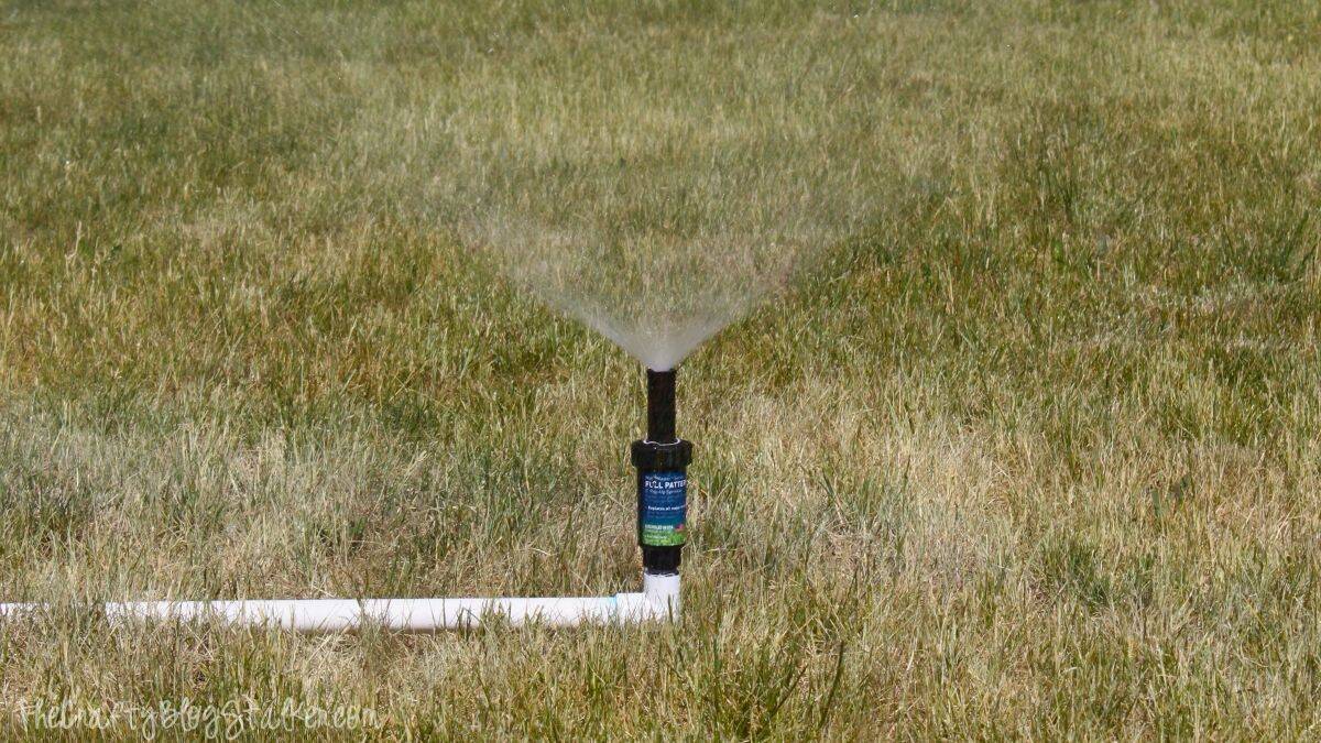 Above-ground sprinkler on a lawn.