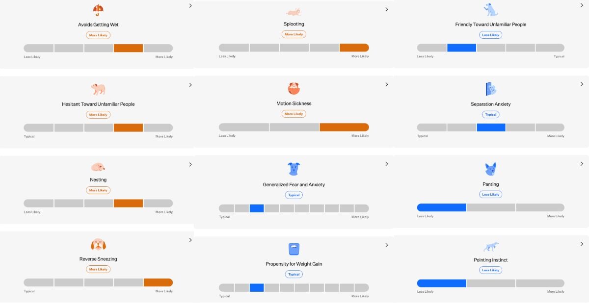 Dashboard illustrating Ollieās anticipated behavior traits with multiple sliders indicating likelihood for tendencies such as separation anxiety, motion sickness, nesting, weight gain, and friendliness.