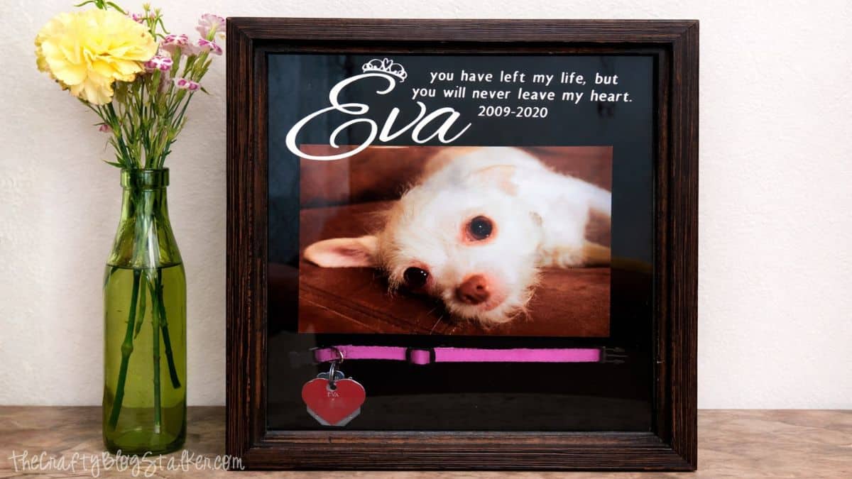 Framed pet remembrance shadow box showcasing a dog image with the name Eva and dates, along with a collar and heart-shaped tag, placed next to a small vase of flowers.