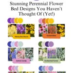 11 Stunning Perennial Flower Bed Designs You Haven’t Thought Of (Yet!)
