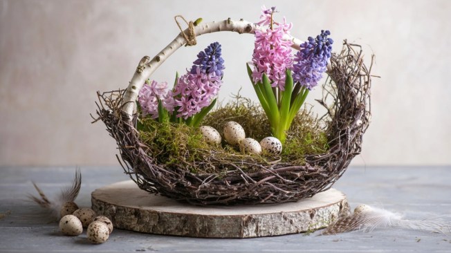 Plant basket created from birch branches featuring hyacinths, quail eggs, and guinea fowl feathers